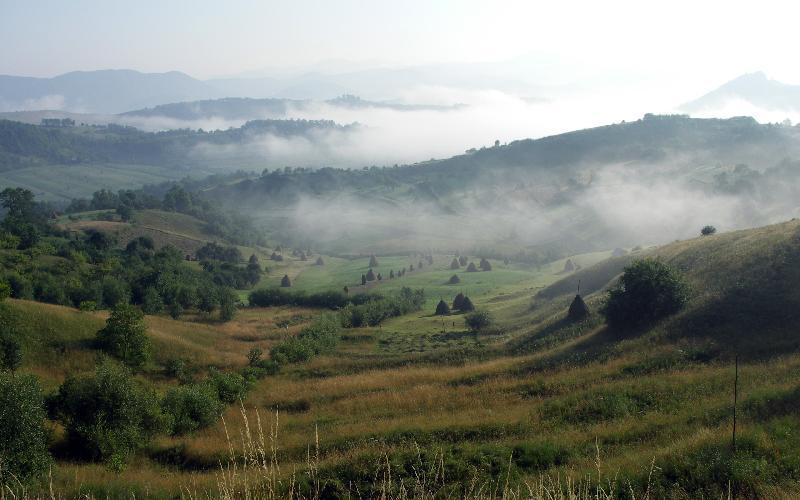 Pensiunea Denisa Bîrsana